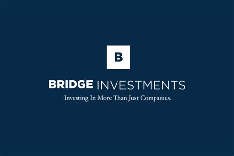 new bridge investments pte ltd